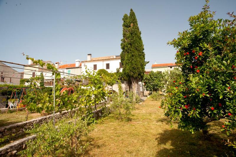 Pape Punat Apartmani I Sobe Kültér fotó